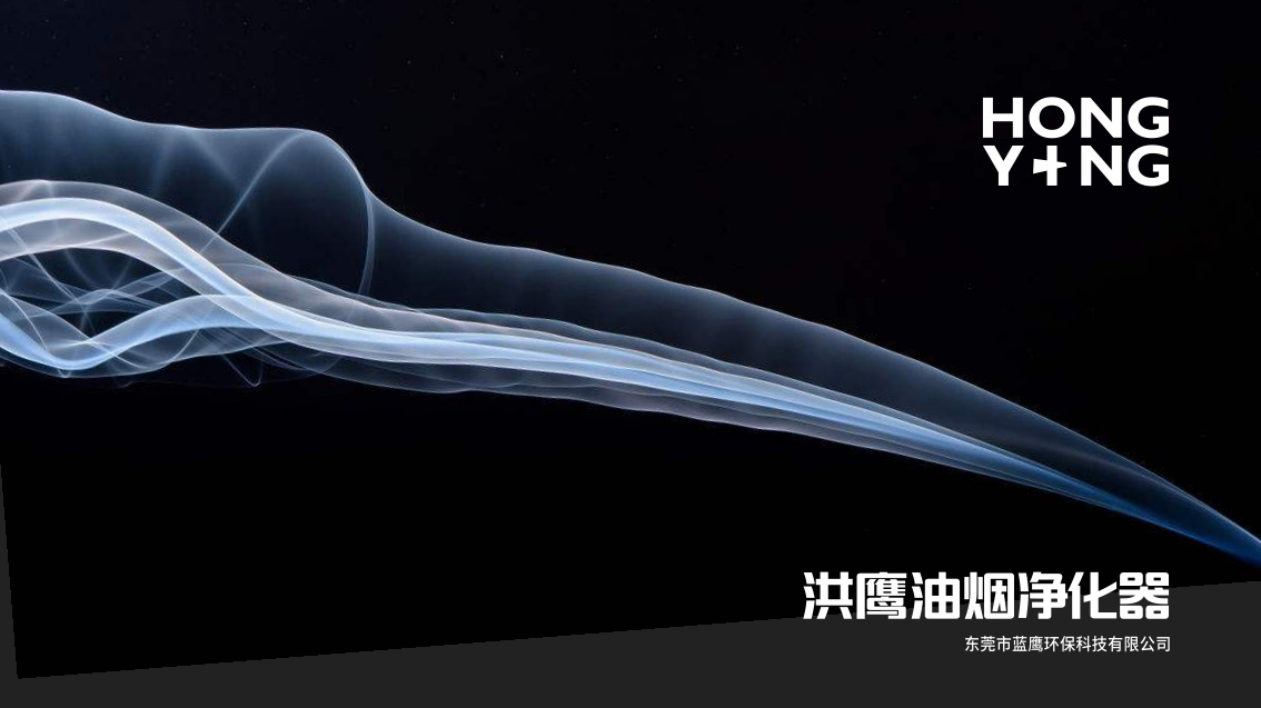 洪鷹環(huán)境空氣凈化設(shè)備品牌設(shè)計(jì),LOGO設(shè)計(jì),VI設(shè)計(jì)